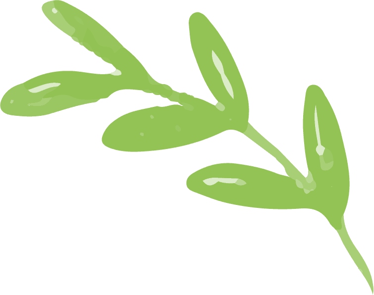 Contact leaves free img